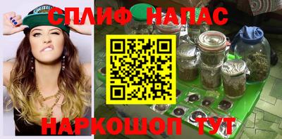 крисы Будённовск