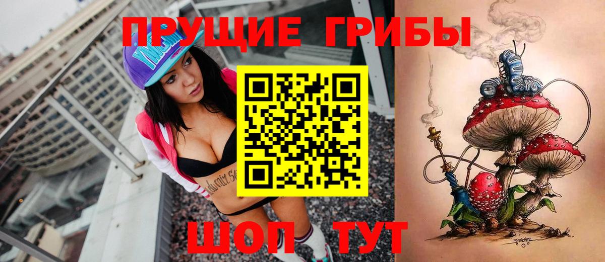 Унеча  Псилоцибиновые грибы мицелий  Псилоцибиновые грибы Magic Shrooms  Вход с VPN 