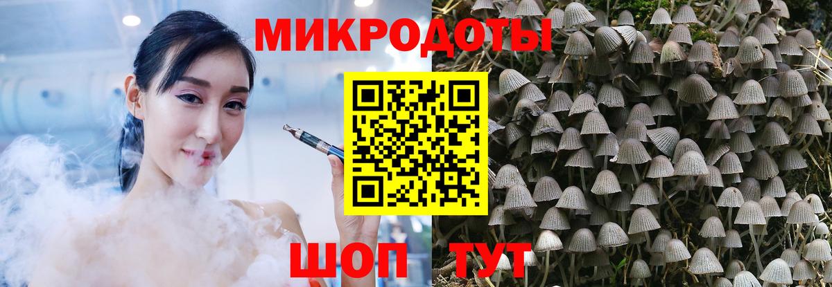 Псилоцибиновые грибы ЛСД Унеча